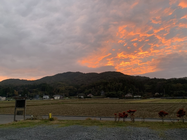 写真 2020-11-06 16 45 51.jpg